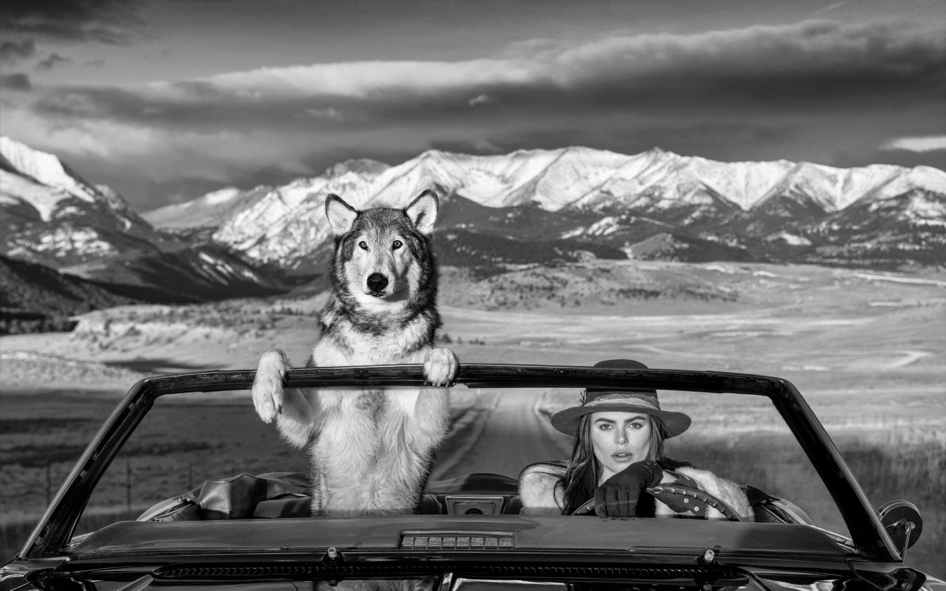 Montana Baby-Photographic Print-David Yarrow-Sorrel Sky Gallery