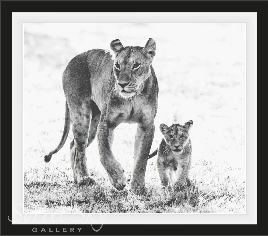 Mother's Day-Photographic Print-David Yarrow-Sorrel Sky Gallery