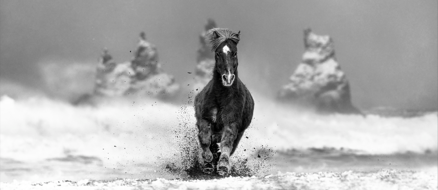 My Perfect Storm-Photographic Print-David Yarrow-Sorrel Sky Gallery