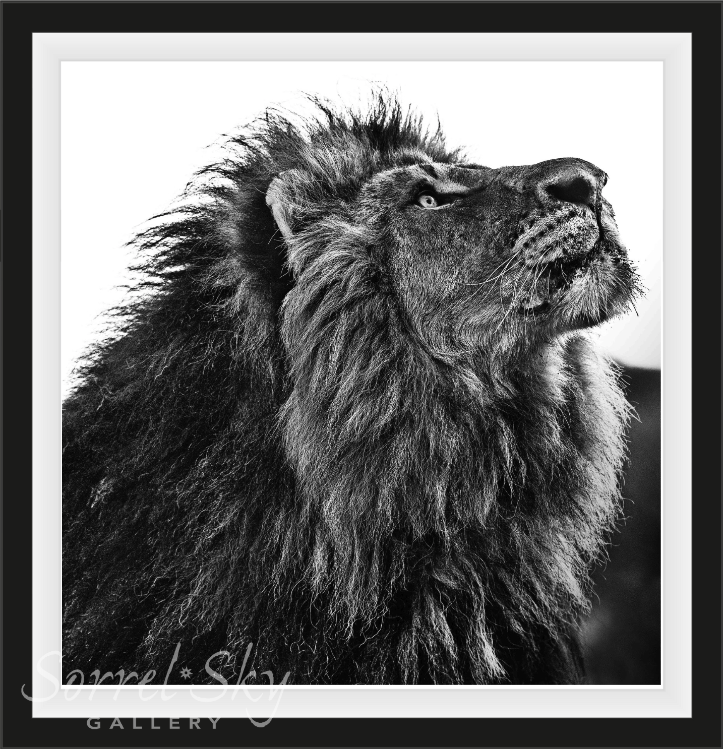 NKOSI SIKELEL' IAFRIKA-Photographic Print-David Yarrow-Sorrel Sky Gallery