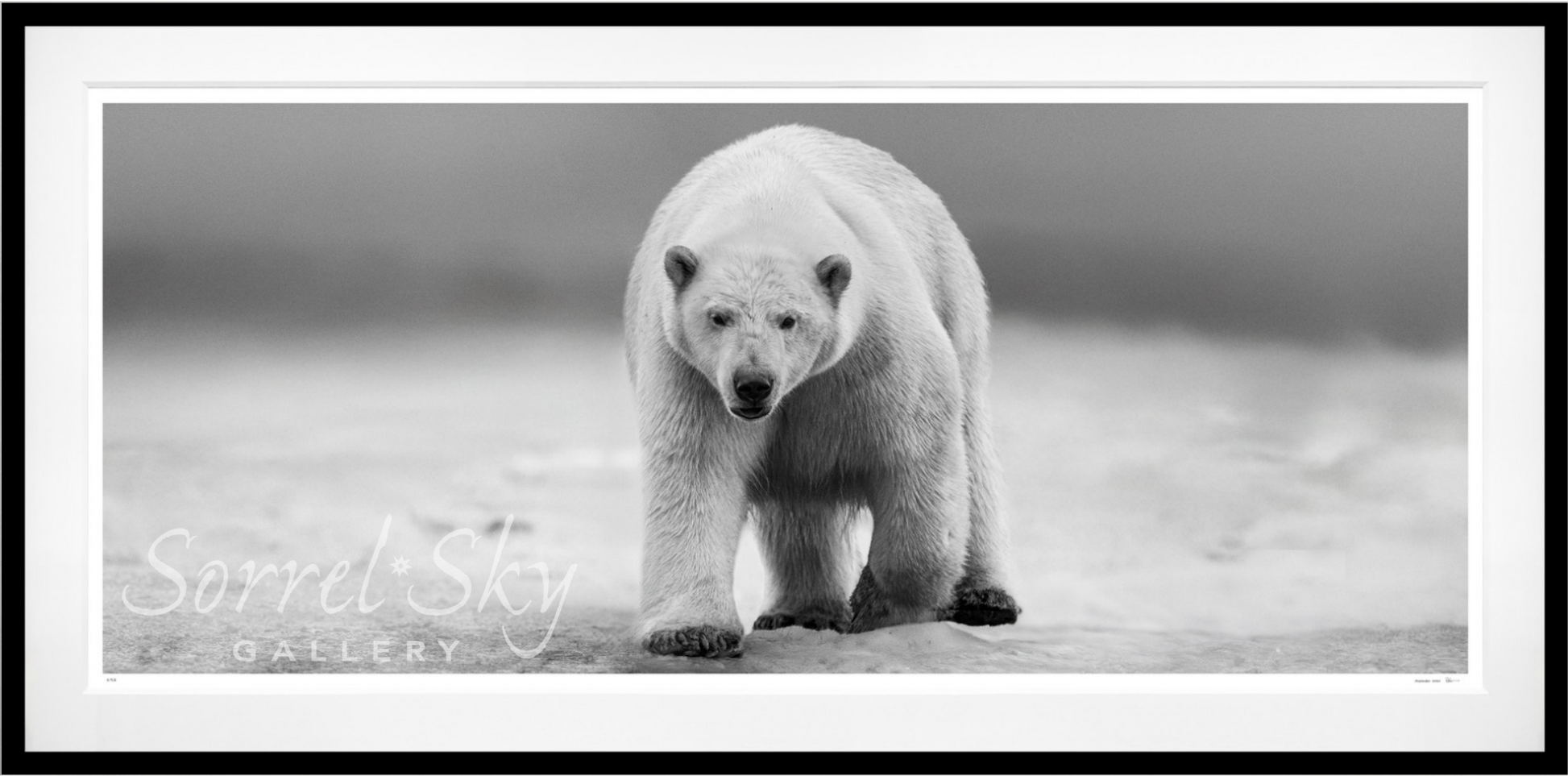NO TIME TO KILL-Photographic Print-David Yarrow-Sorrel Sky Gallery