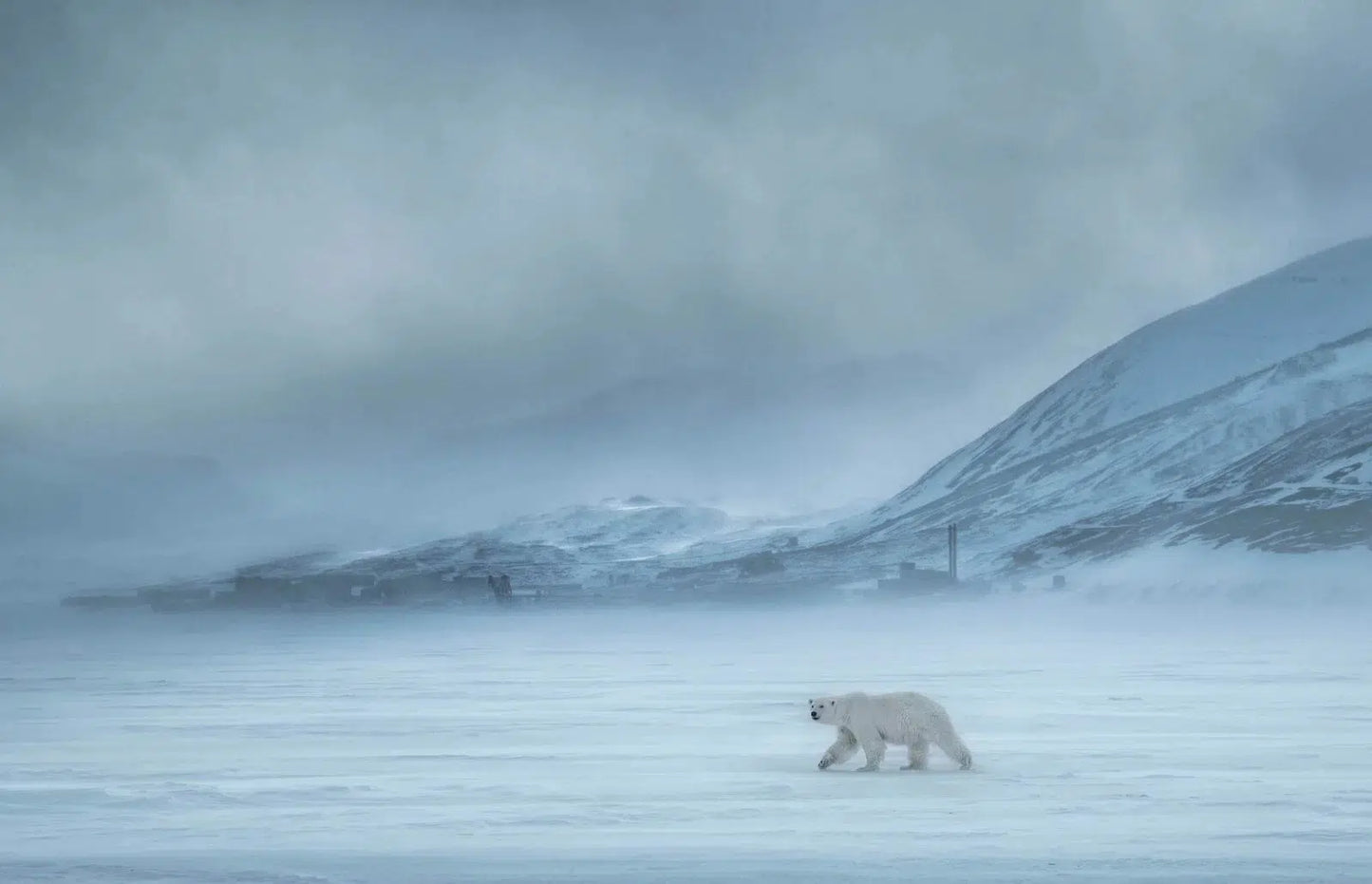 NORTH OF THE WALL-Photographic Print-David Yarrow-Sorrel Sky Gallery