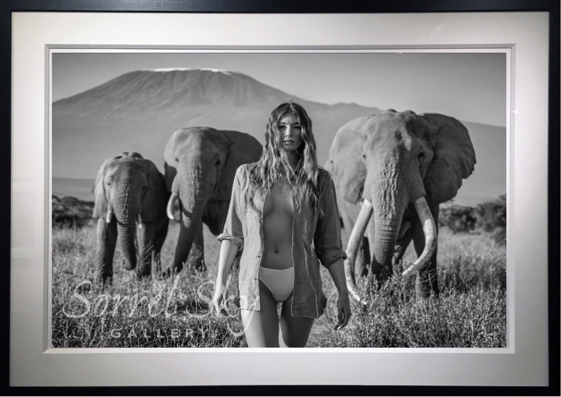 Nobody's Trophy-Photographic Print-David Yarrow-Sorrel Sky Gallery