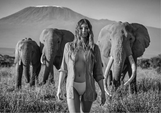 Nobody's Trophy-Photographic Print-David Yarrow-Sorrel Sky Gallery