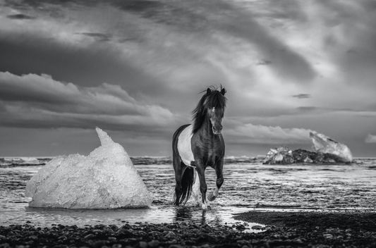 ON THE ROCKS-Photographic Print-David Yarrow-Sorrel Sky Gallery