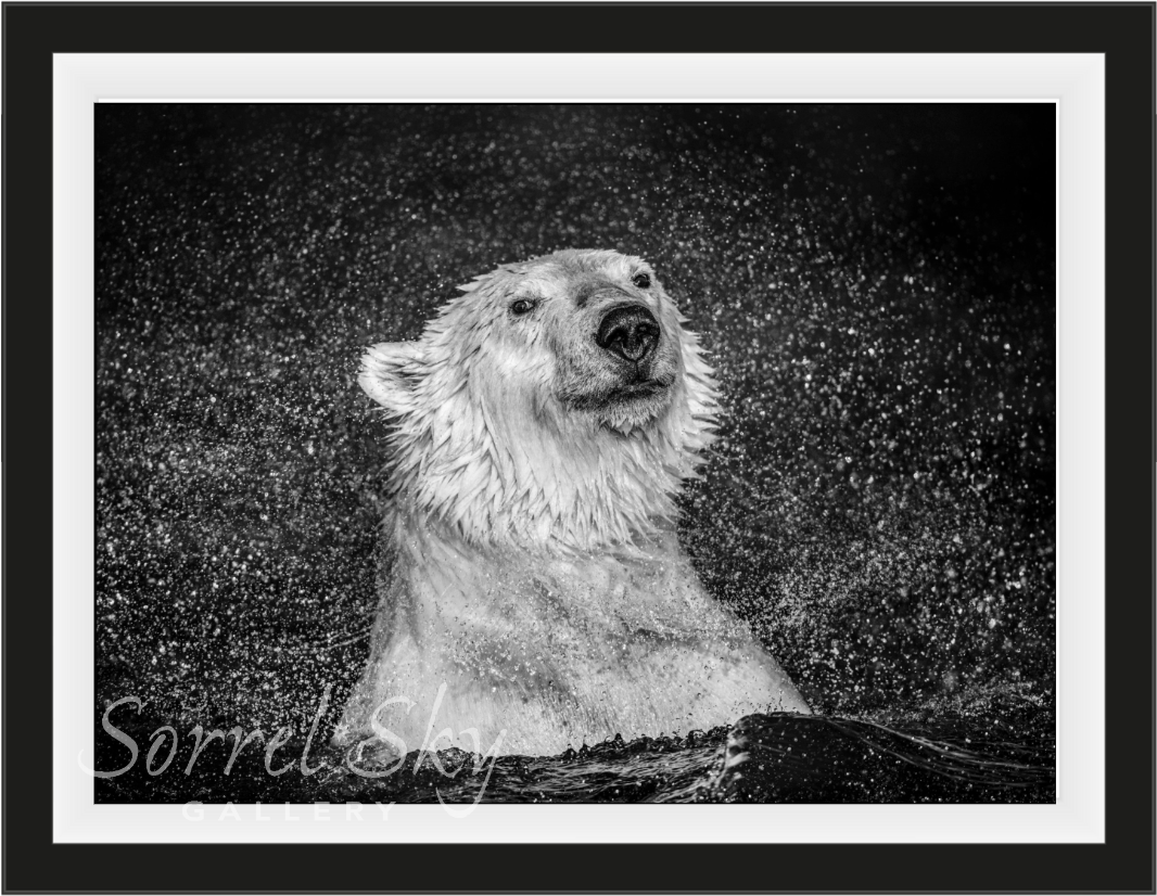 Open Water-Photographic Print-David Yarrow-Sorrel Sky Gallery