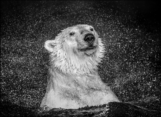 Open Water-Photographic Print-David Yarrow-Sorrel Sky Gallery