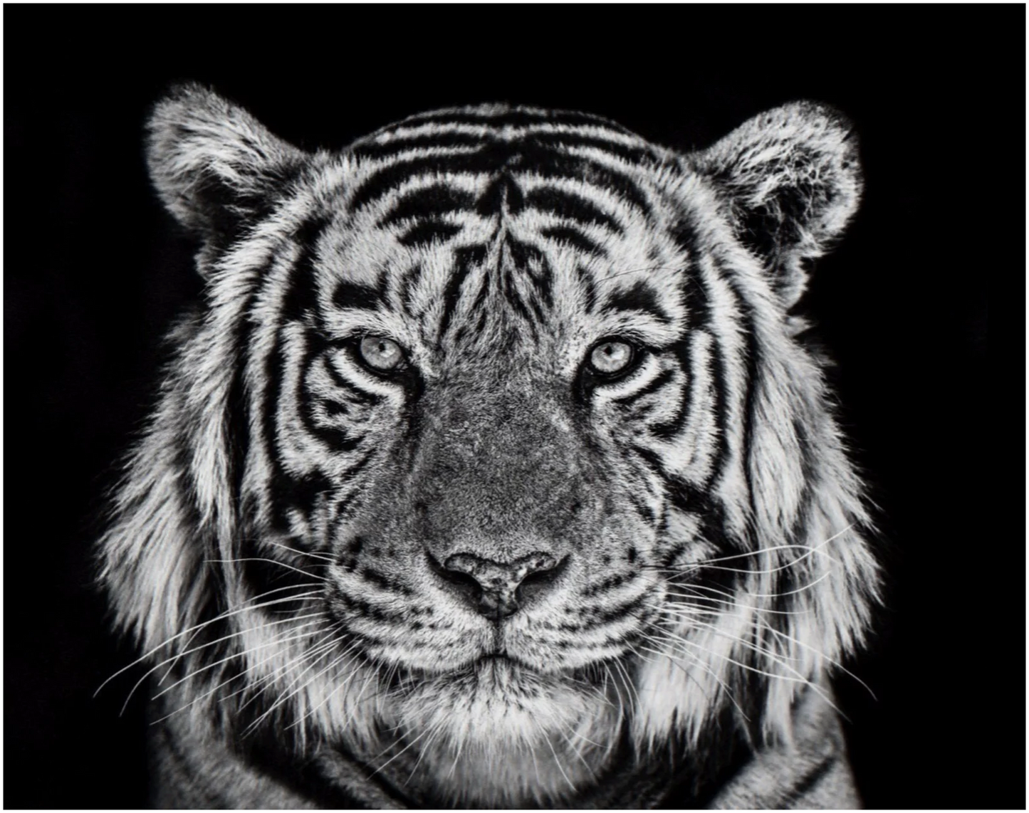 Rajasthan-Photographic Print-David Yarrow-Sorrel Sky Gallery
