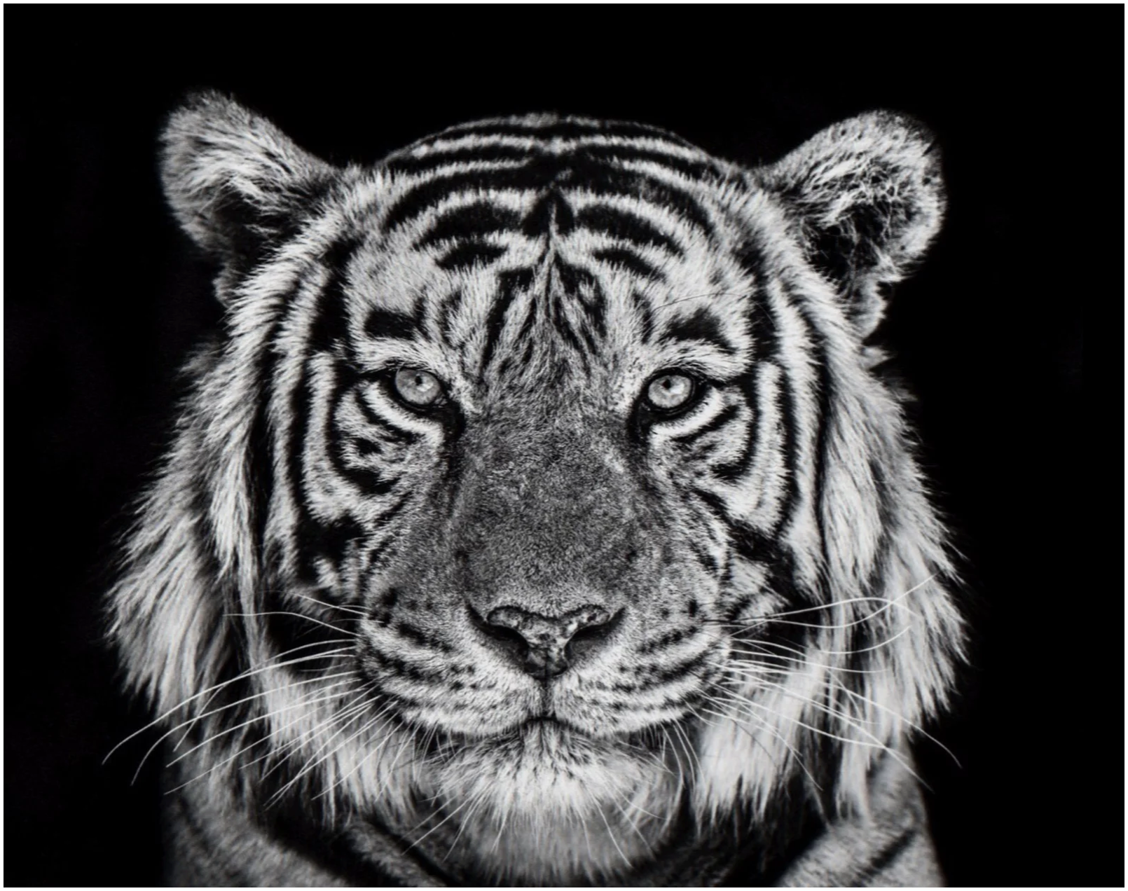 Rajasthan-Photographic Print-David Yarrow-Sorrel Sky Gallery