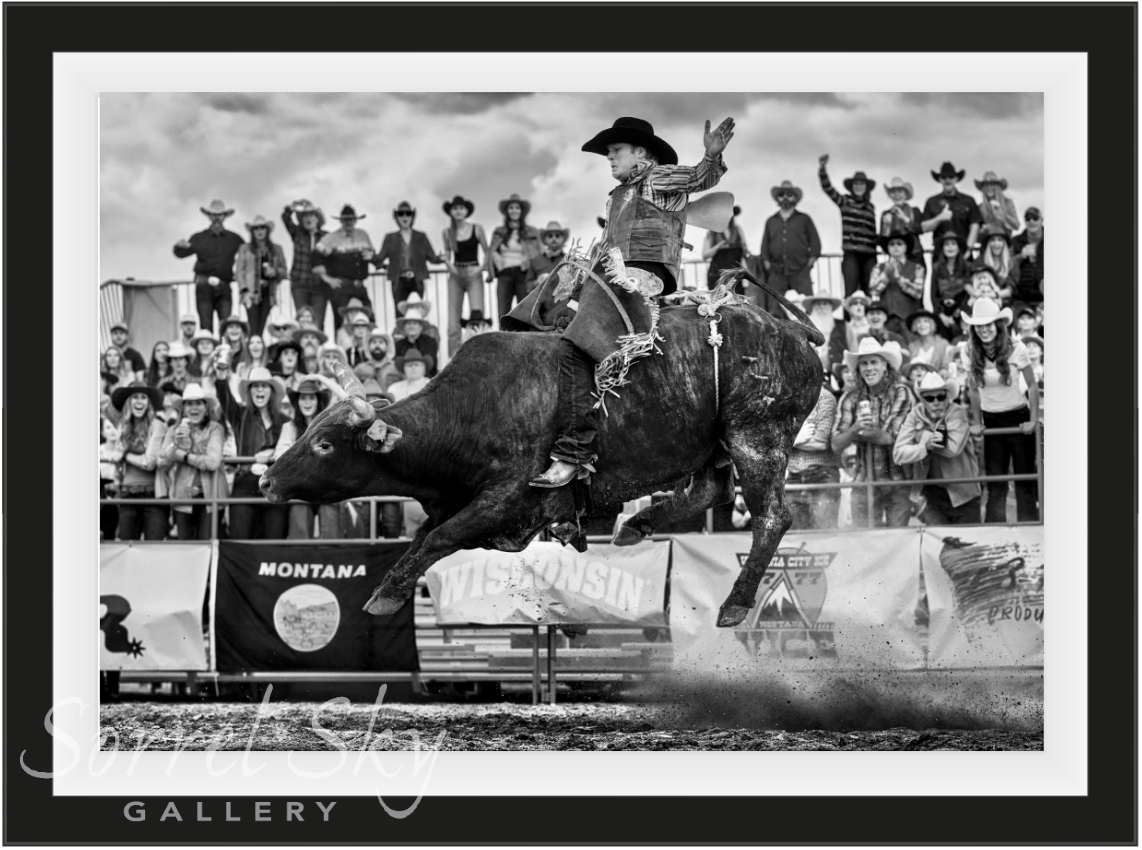 Ride The Bull