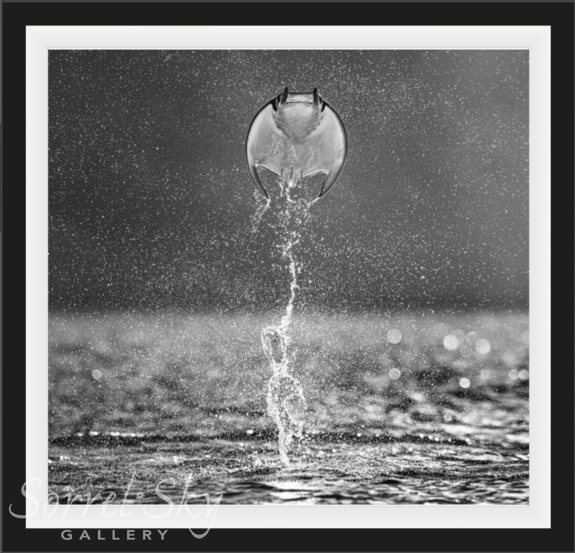 Rocket Man-Photographic Print-David Yarrow-Sorrel Sky Gallery