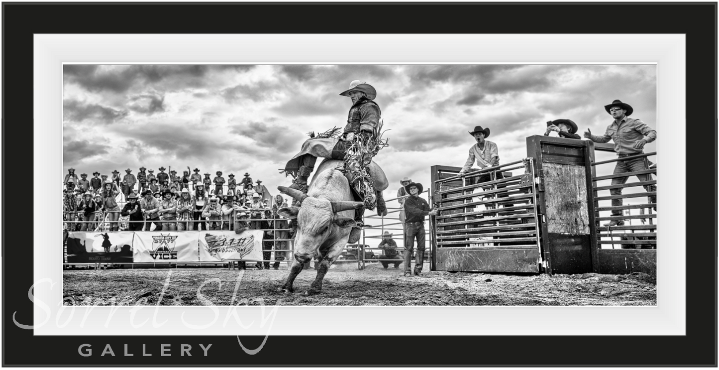 Rodeo