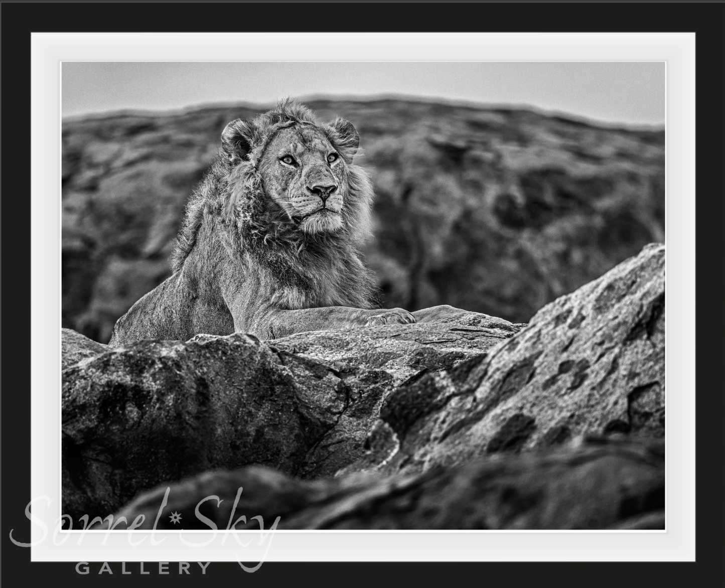 Serengeti