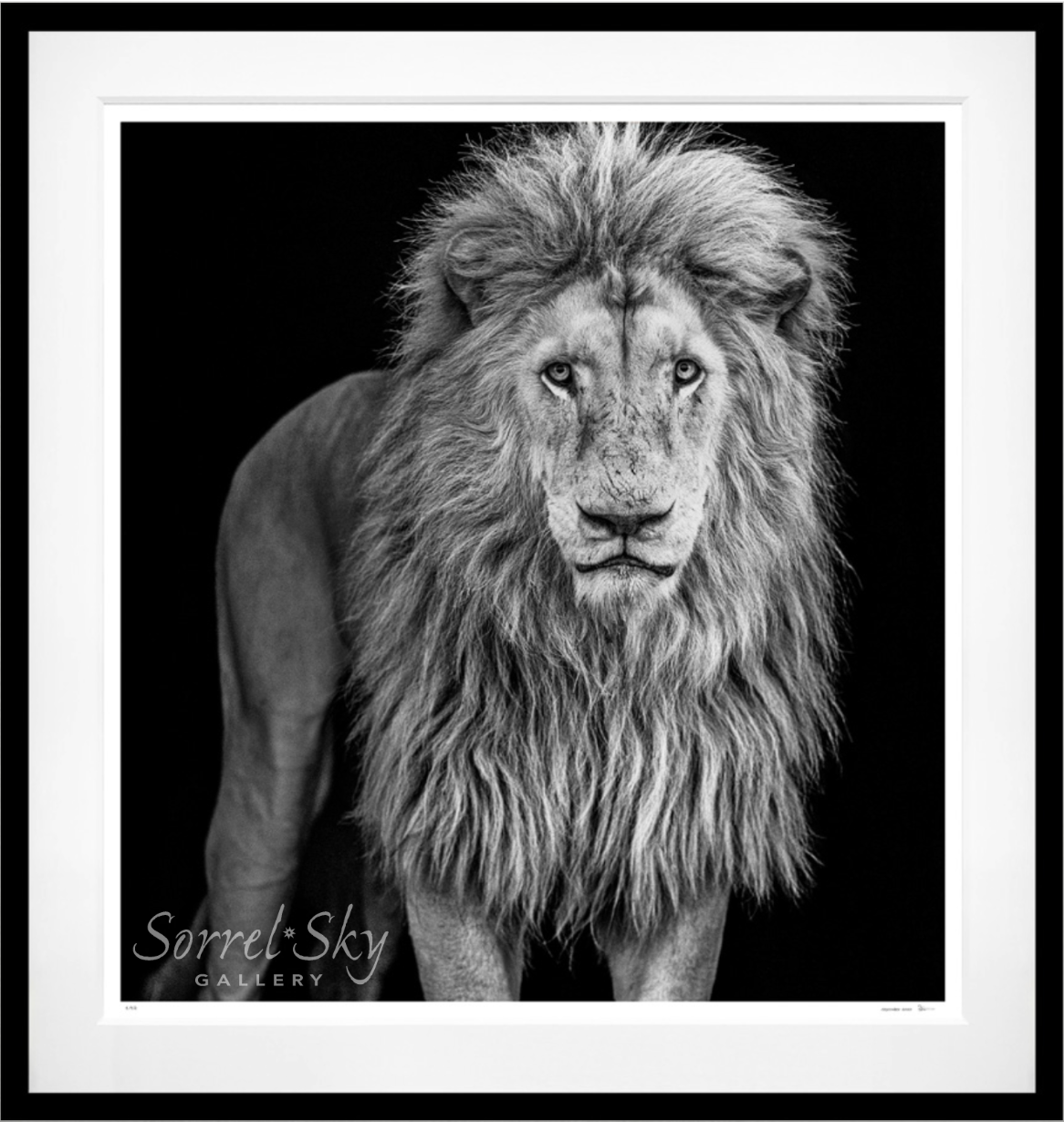 Something's Gotta Give - B&W-Photographic Print-David Yarrow-Sorrel Sky Gallery