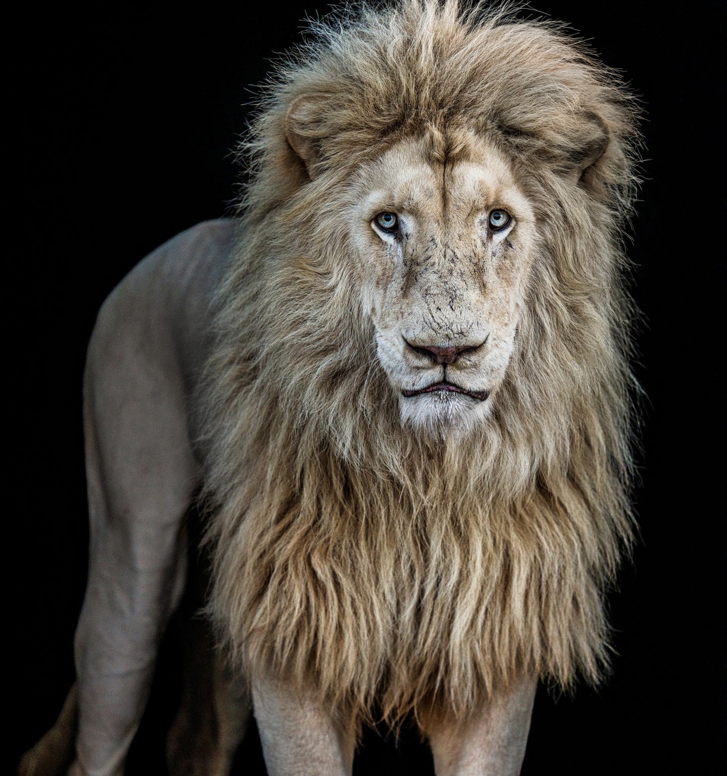 Something's Gotta Give - Colour-Photographic Print-David Yarrow-Sorrel Sky Gallery