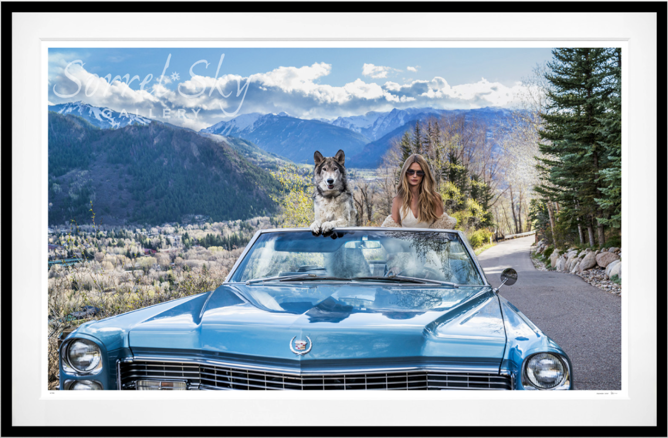 Spring in Aspen (Colour)-Photographic Print-David Yarrow-Sorrel Sky Gallery