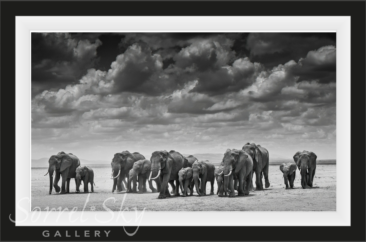 THE CROSSING-Photographic Print-David Yarrow-Sorrel Sky Gallery