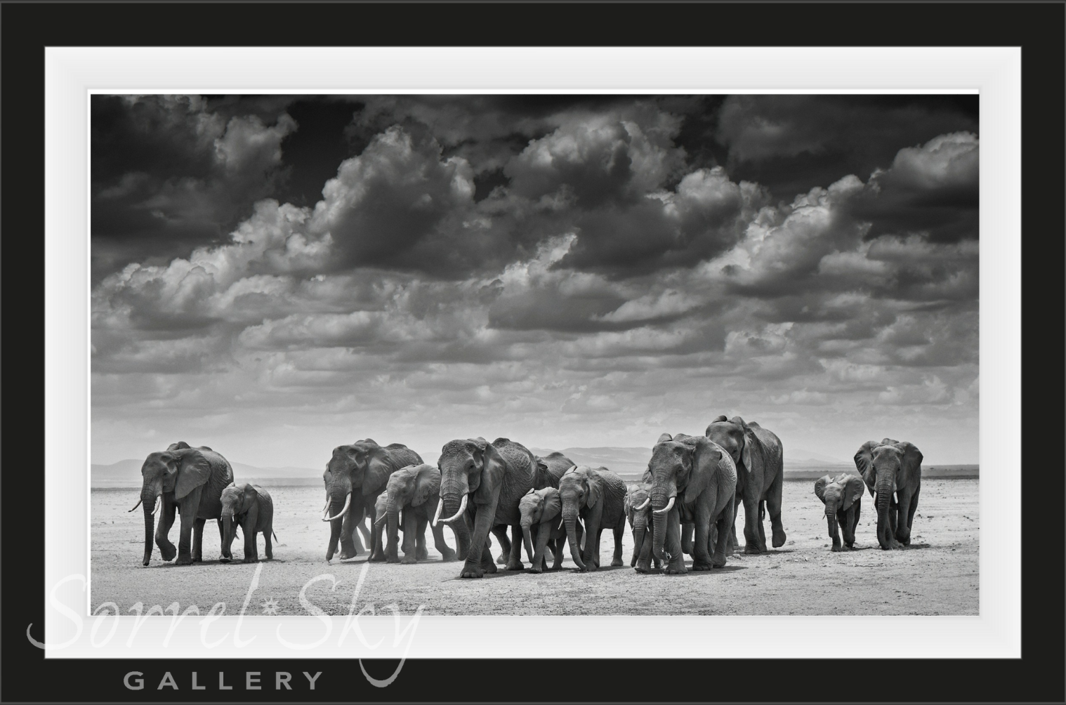 THE CROSSING-Photographic Print-David Yarrow-Sorrel Sky Gallery