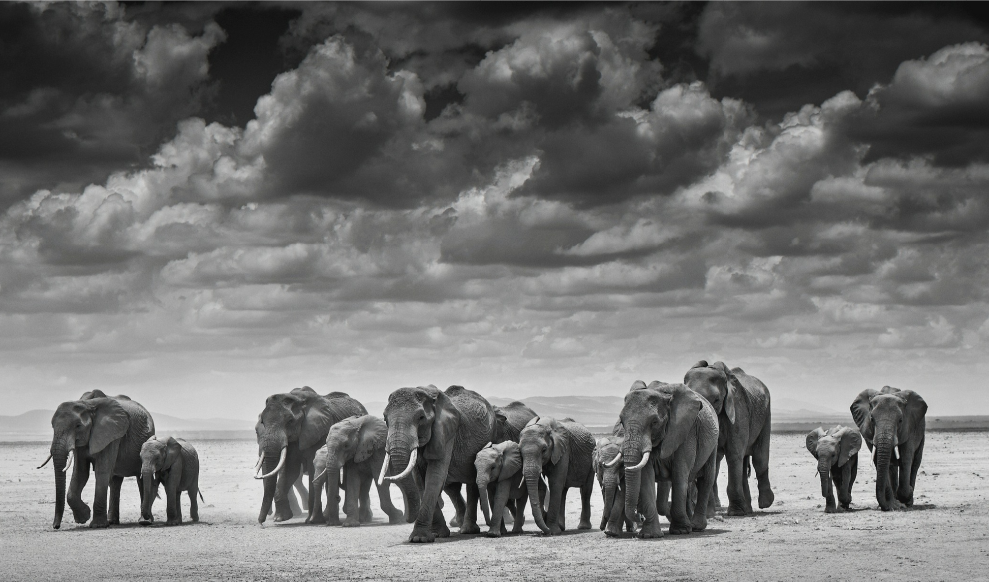 THE CROSSING-Photographic Print-David Yarrow-Sorrel Sky Gallery