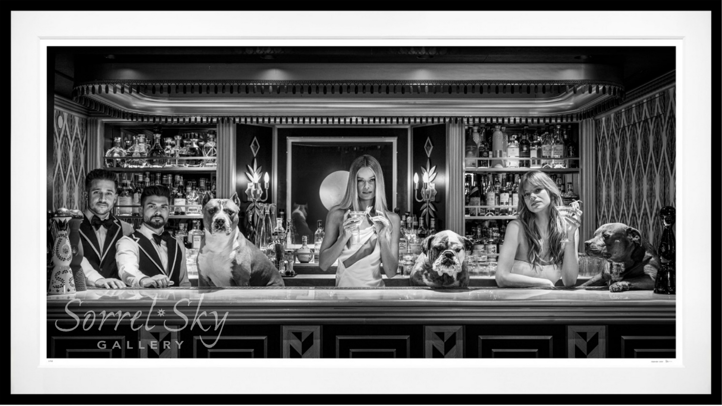 THE DOGS OF PALM BEACH-Photographic Print-David Yarrow-Sorrel Sky Gallery