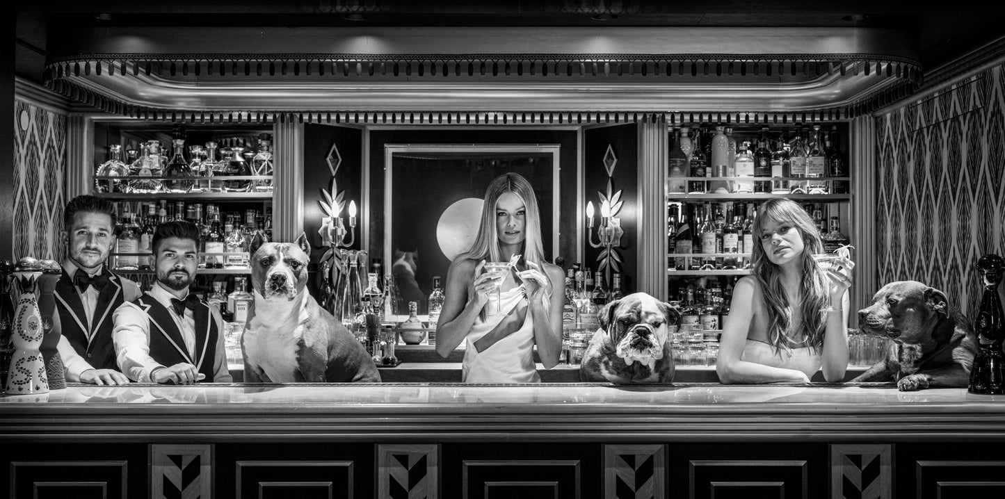THE DOGS OF PALM BEACH-Photographic Print-David Yarrow-Sorrel Sky Gallery