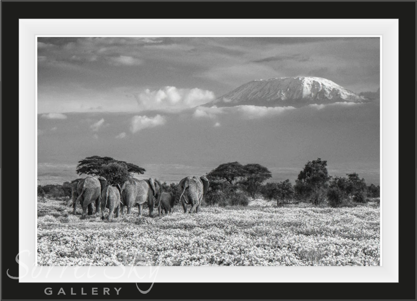 THE GARDEN OF EDEN-Photographic Print-David Yarrow-Sorrel Sky Gallery