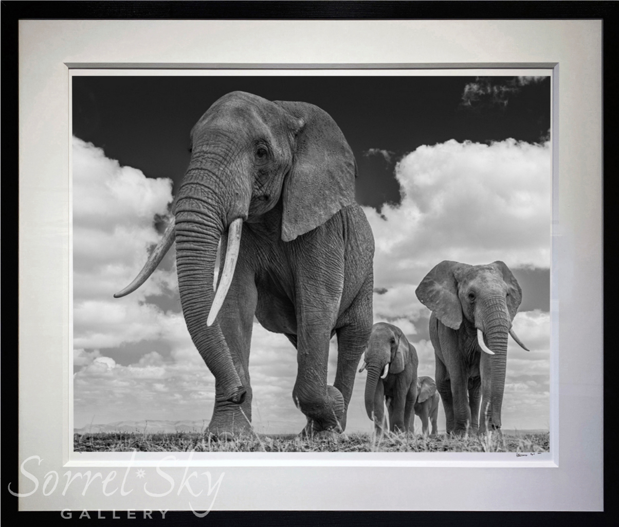 THE GARRISON-Photographic Print-David Yarrow-Sorrel Sky Gallery