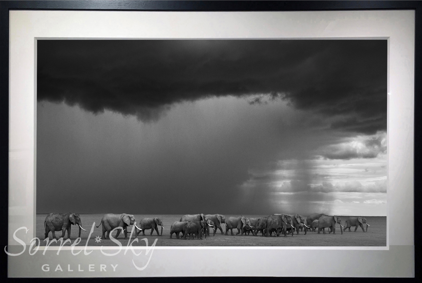 THE GATHERING STORM-Photographic Print-David Yarrow-Sorrel Sky Gallery