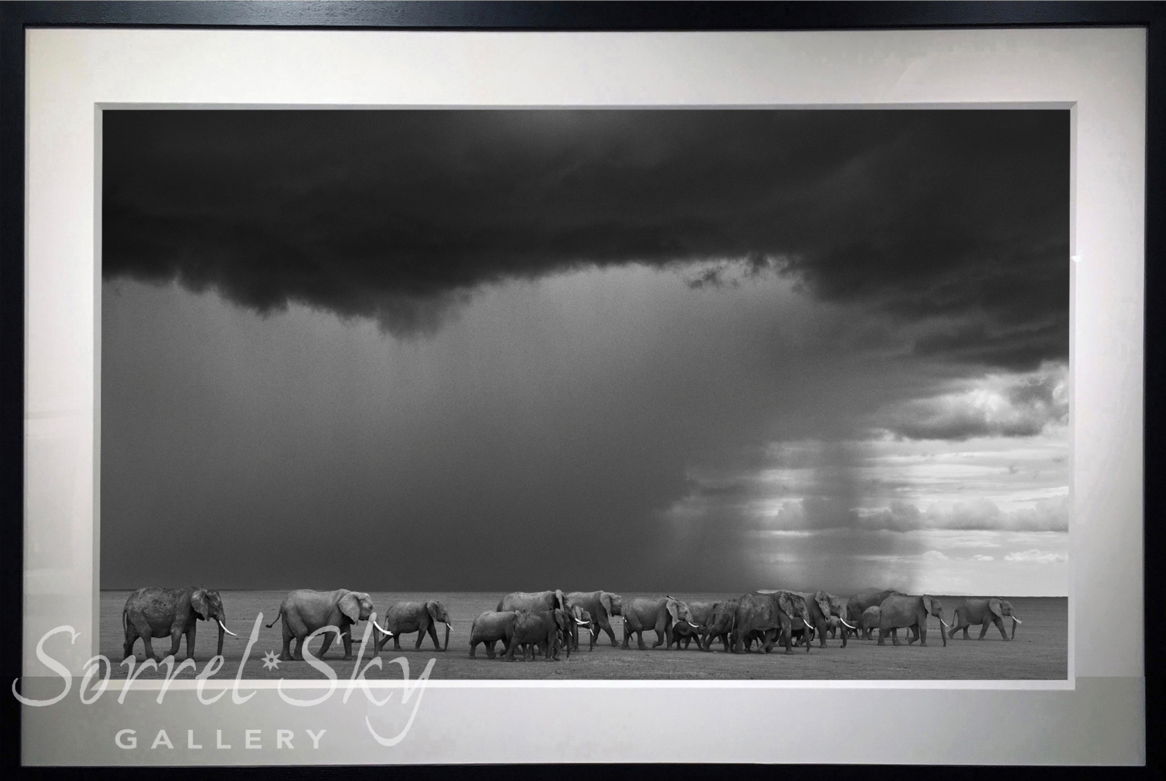 THE GATHERING STORM-Photographic Print-David Yarrow-Sorrel Sky Gallery