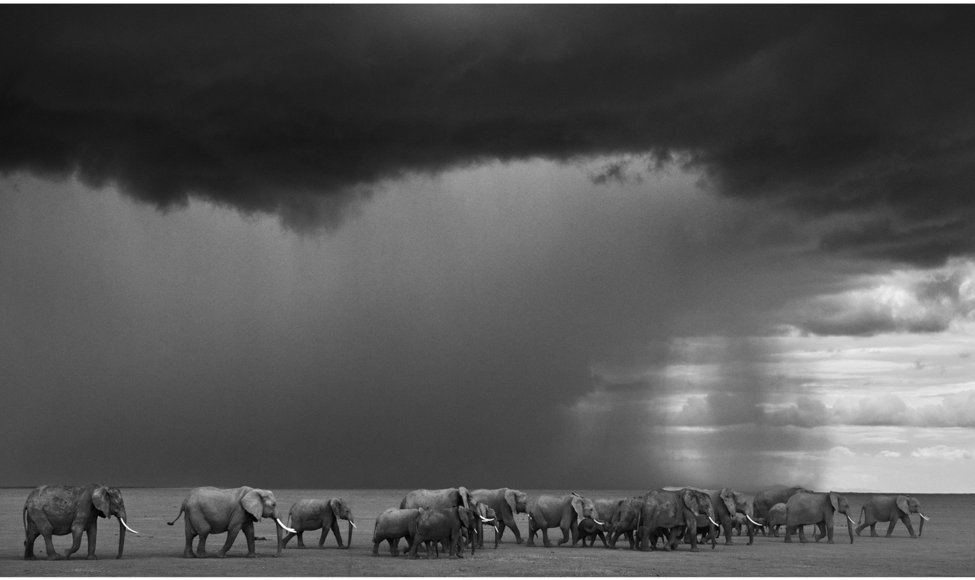 THE GATHERING STORM-Photographic Print-David Yarrow-Sorrel Sky Gallery