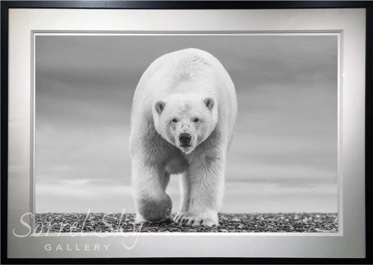 THE NORTH SLOPE-Photographic Print-David Yarrow-Sorrel Sky Gallery