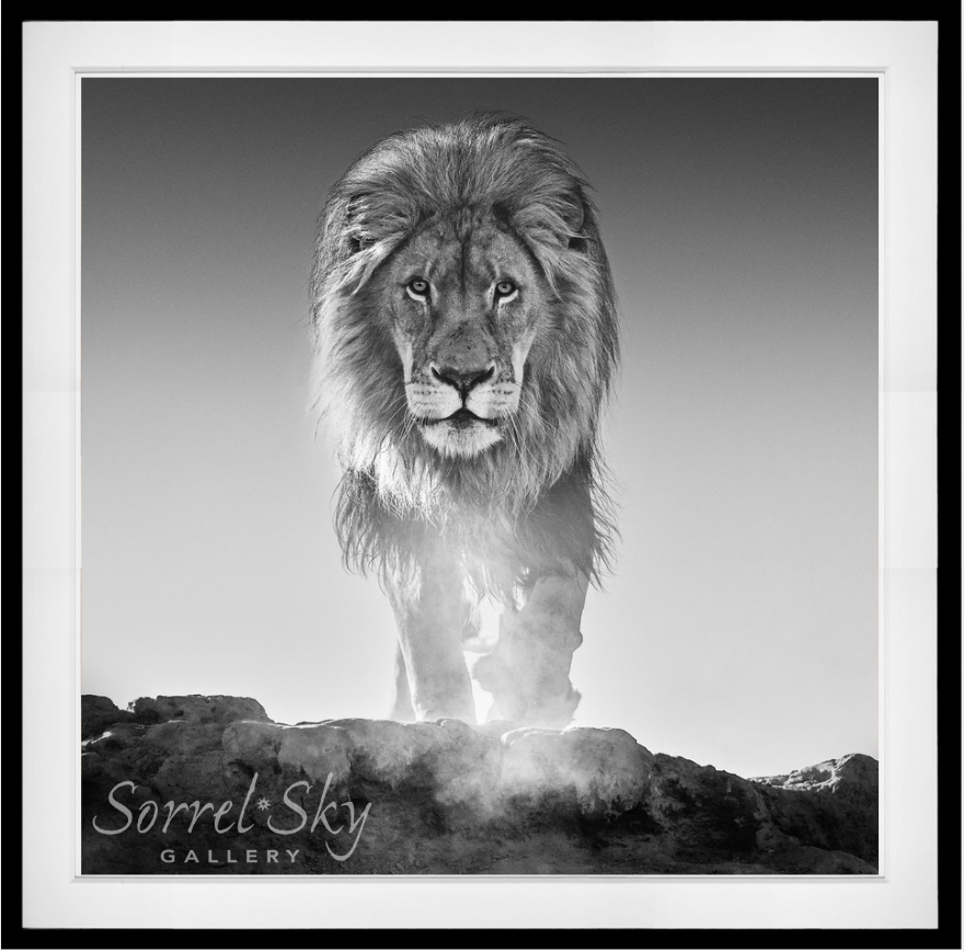 THE OLD TESTAMENT-Photographic Print-David Yarrow-Sorrel Sky Gallery