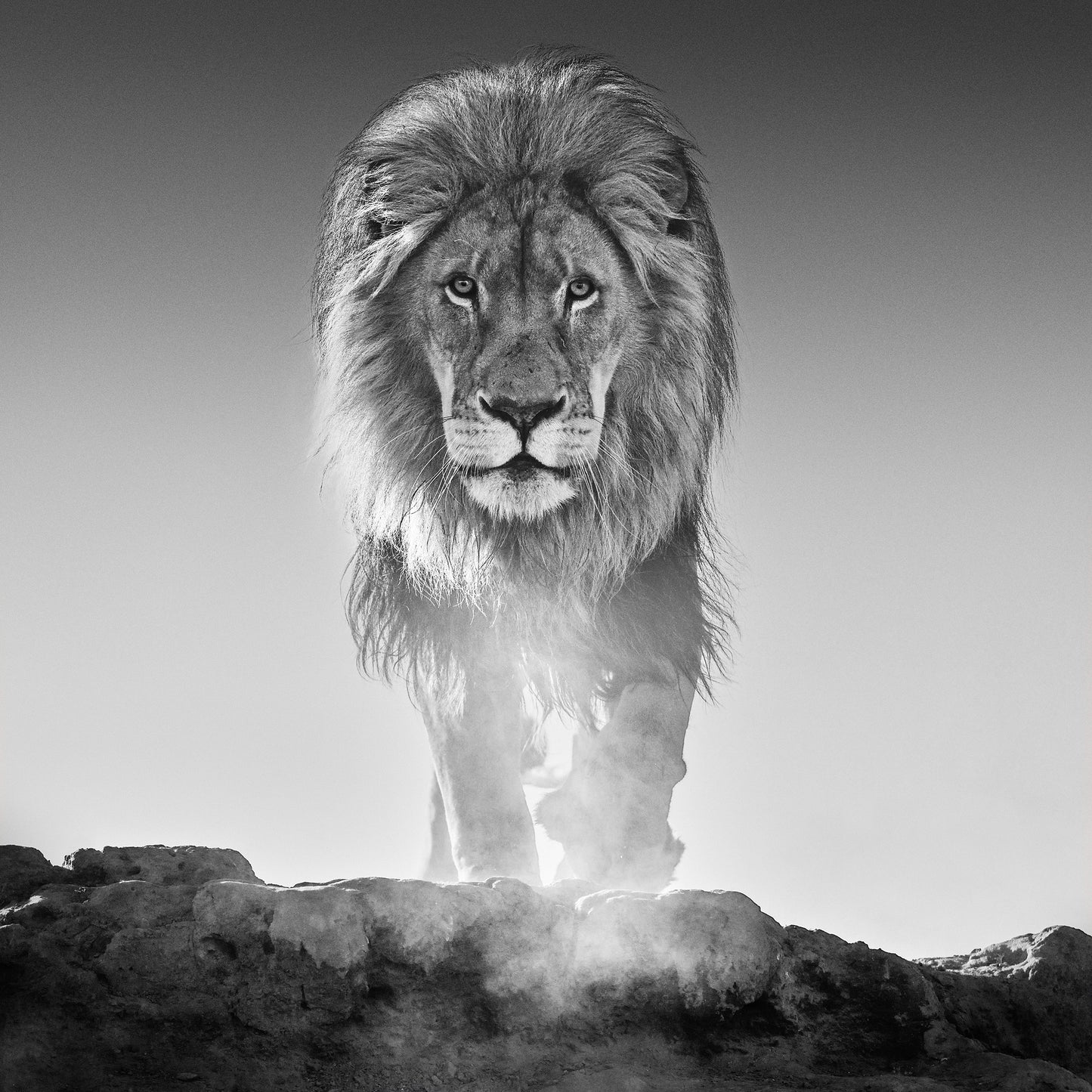 THE OLD TESTAMENT-Photographic Print-David Yarrow-Sorrel Sky Gallery