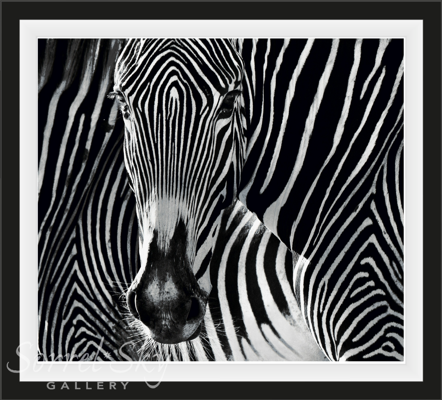 THE PUZZLE-Photographic Print-David Yarrow-Sorrel Sky Gallery