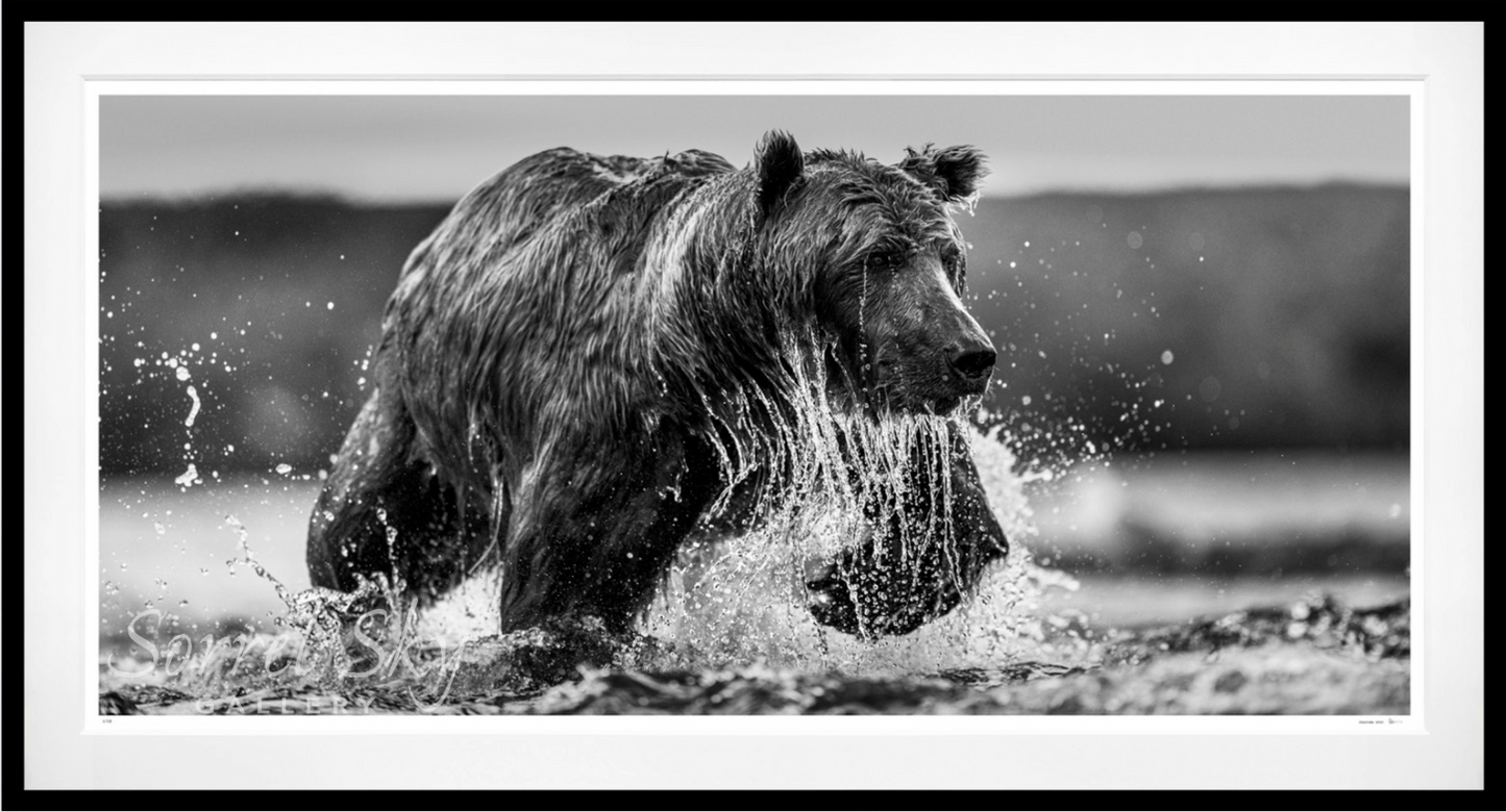 THE SALMON RUN-Photographic Print-David Yarrow-Sorrel Sky Gallery
