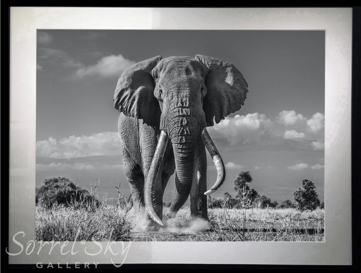 TIM-Photographic Print-David Yarrow-Sorrel Sky Gallery