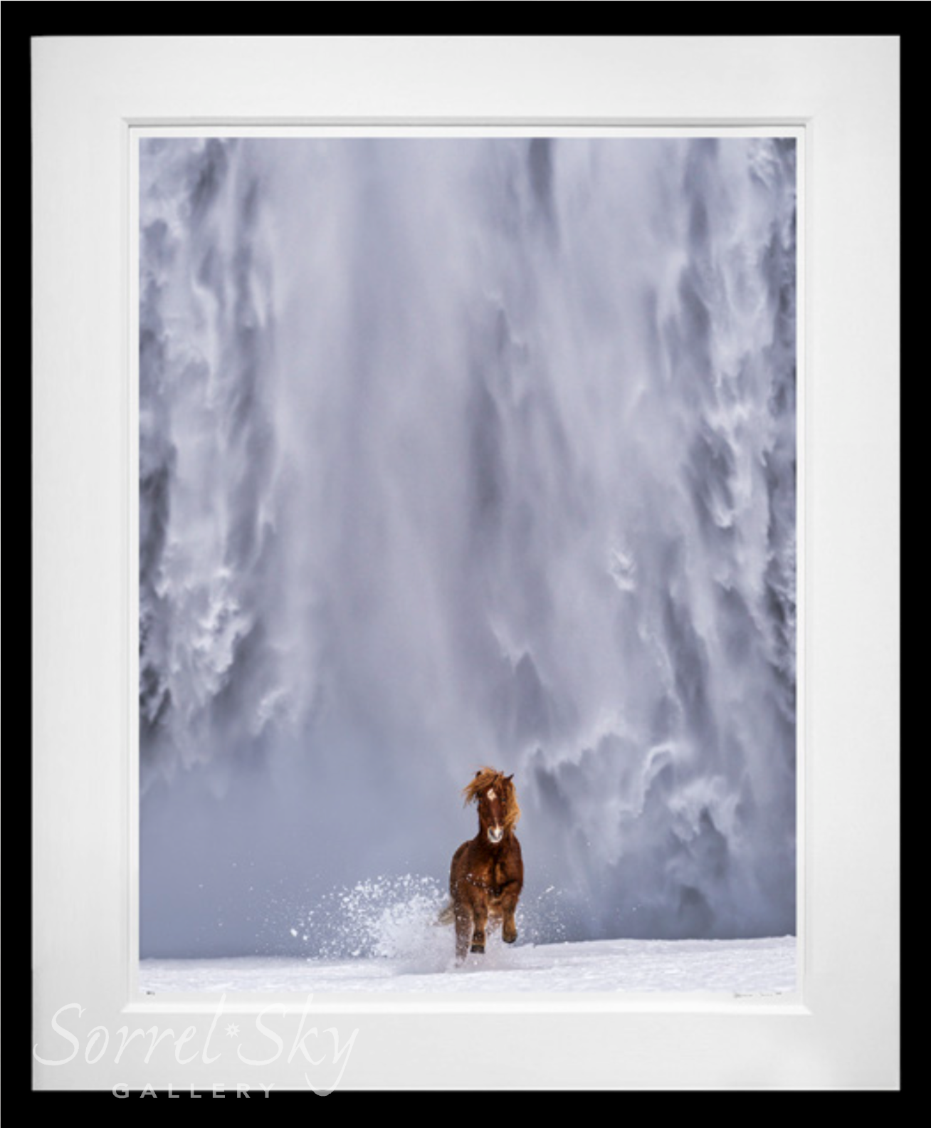 The Big Chill-Photographic Print-David Yarrow-Sorrel Sky Gallery