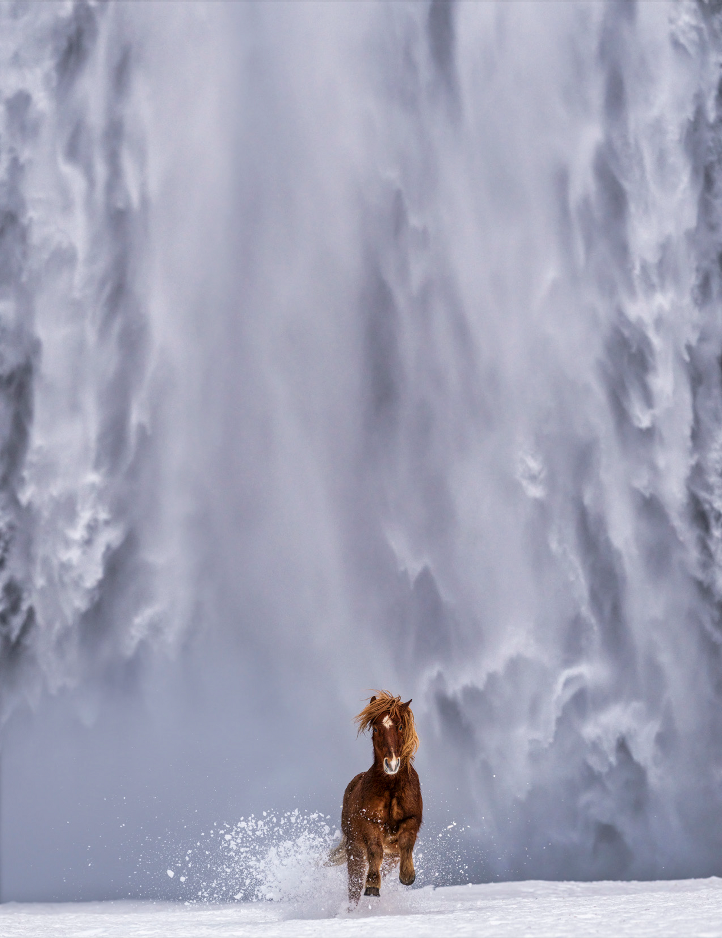 The Big Chill-Photographic Print-David Yarrow-Sorrel Sky Gallery