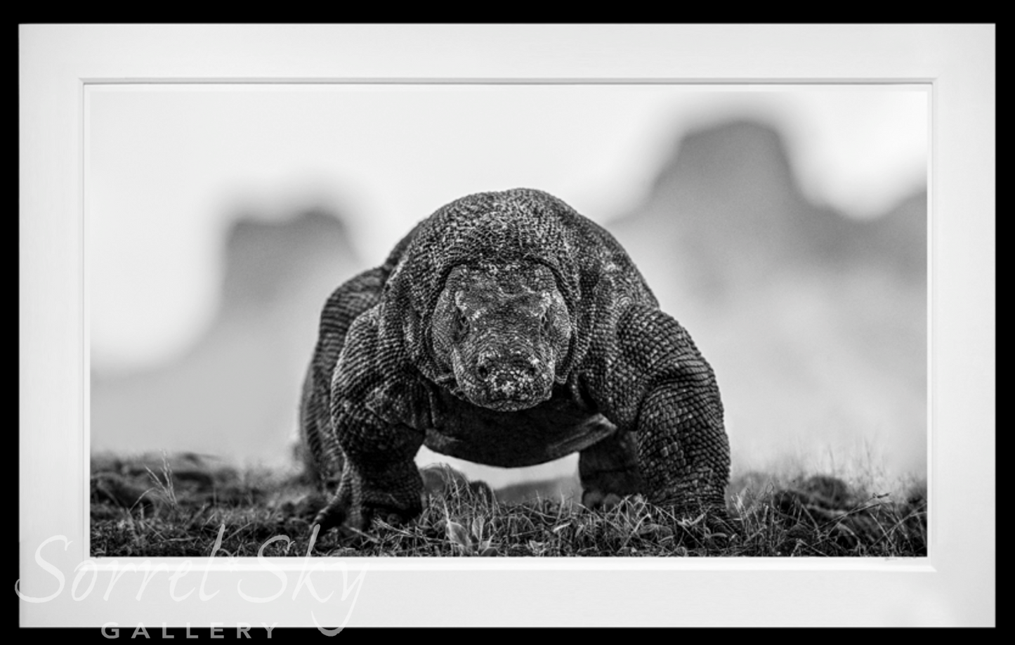 The Dragon's Den-Photographic Print-David Yarrow-Sorrel Sky Gallery