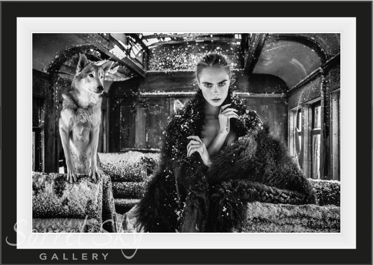 The Girl On The Train