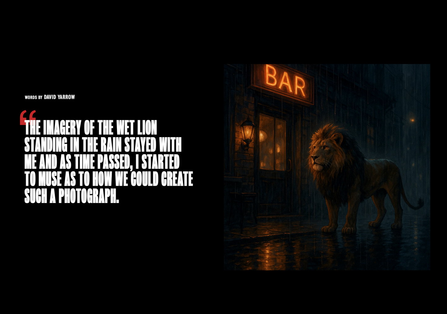 The Lion - Colour-Photographic Print-David Yarrow-Sorrel Sky Gallery