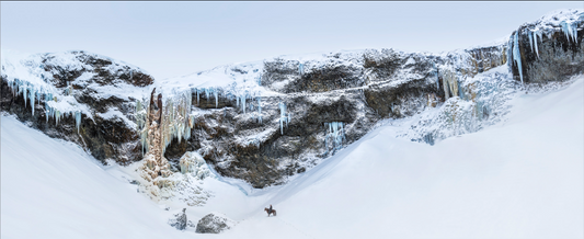 The Lonesome Cowboy-Photographic Print-David Yarrow-Sorrel Sky Gallery