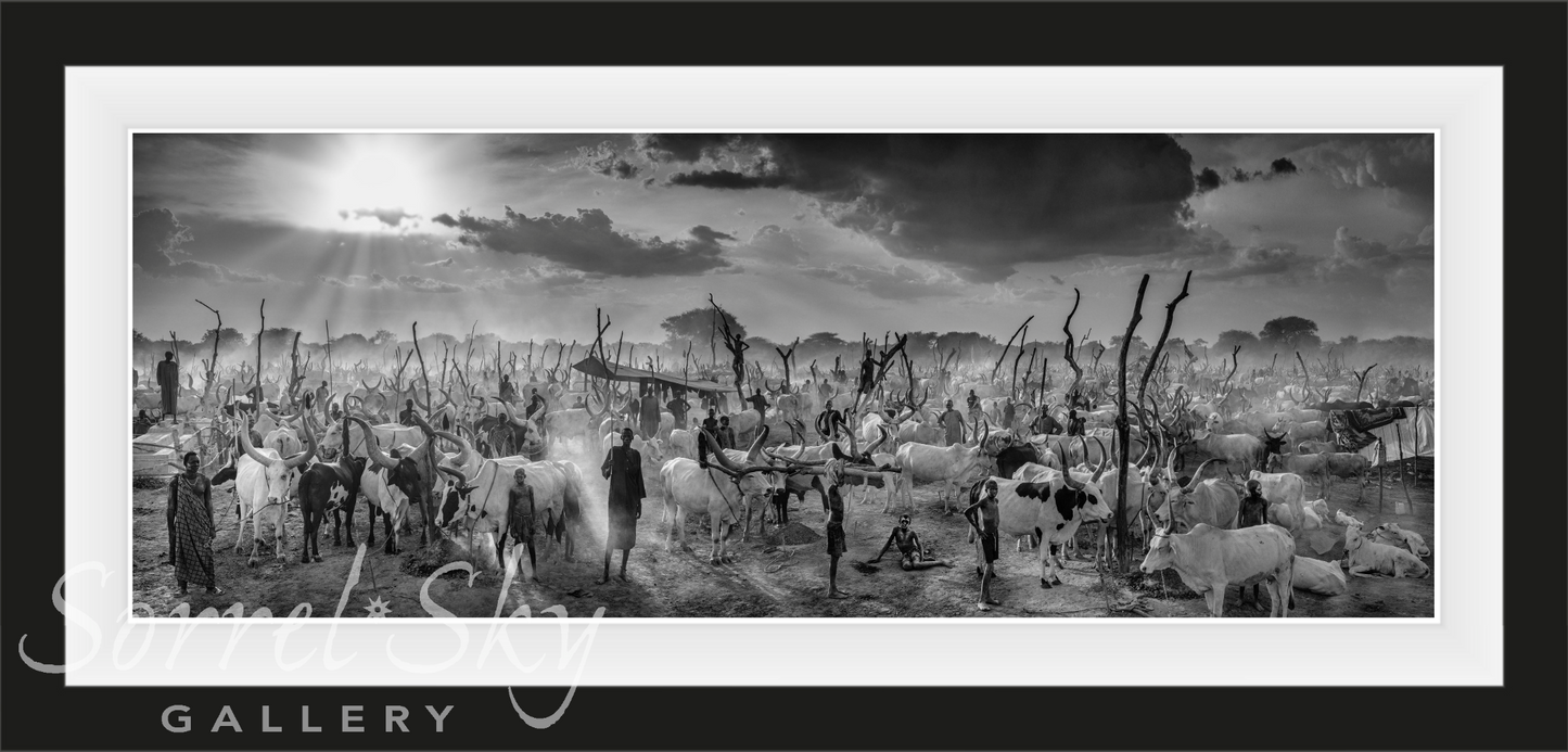 The New Testament - B&W