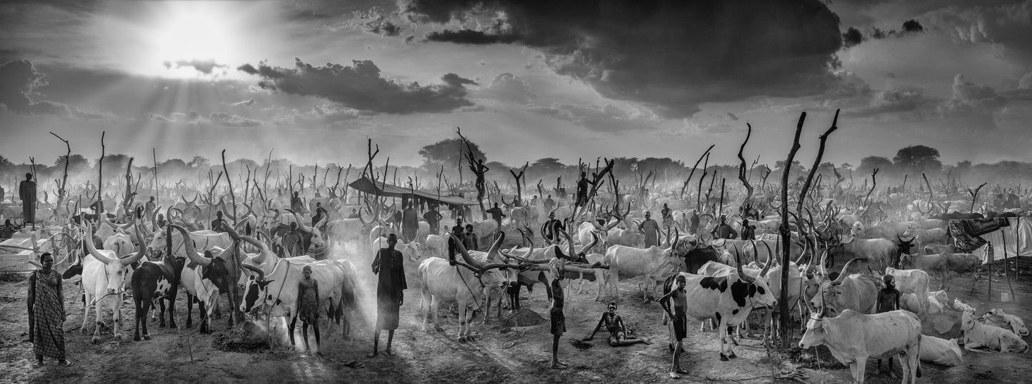 The New Testament - B&W