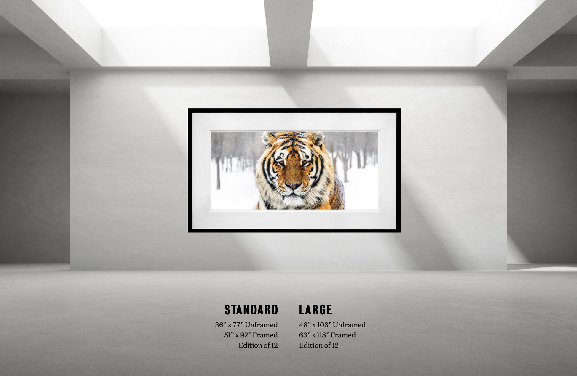 The Siberian-Photographic Print-David Yarrow-Sorrel Sky Gallery