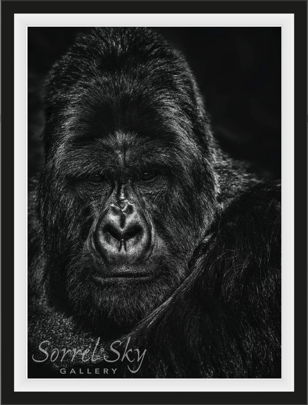 The Thinker-Photographic Print-David Yarrow-Sorrel Sky Gallery