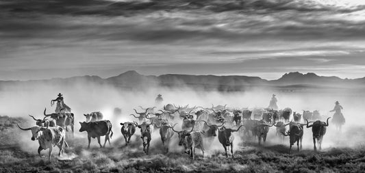 The Thundering Herd