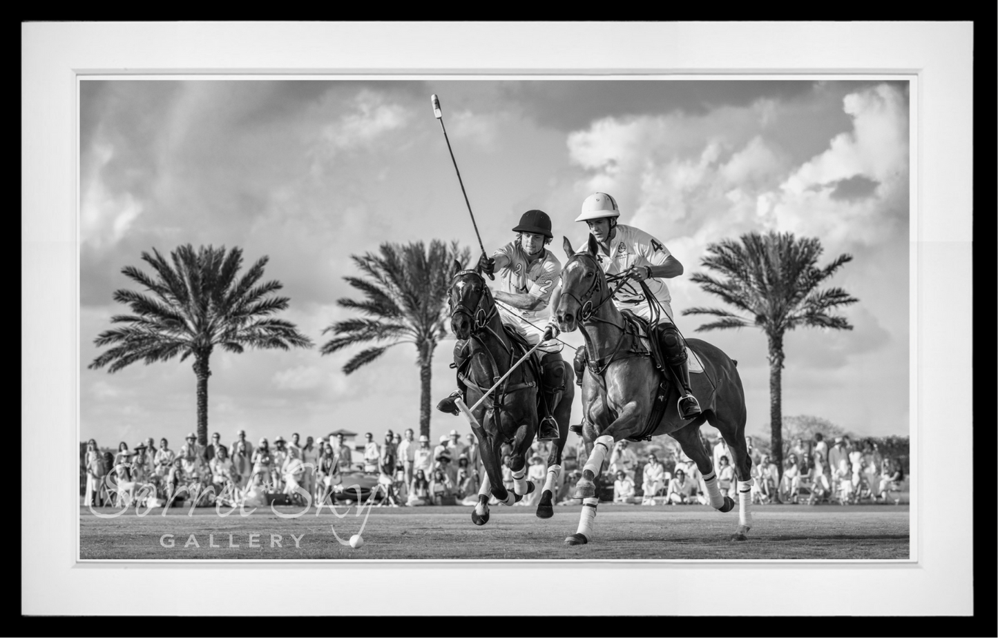 Wellington (BW)-Photographic Print-David Yarrow-Sorrel Sky Gallery
