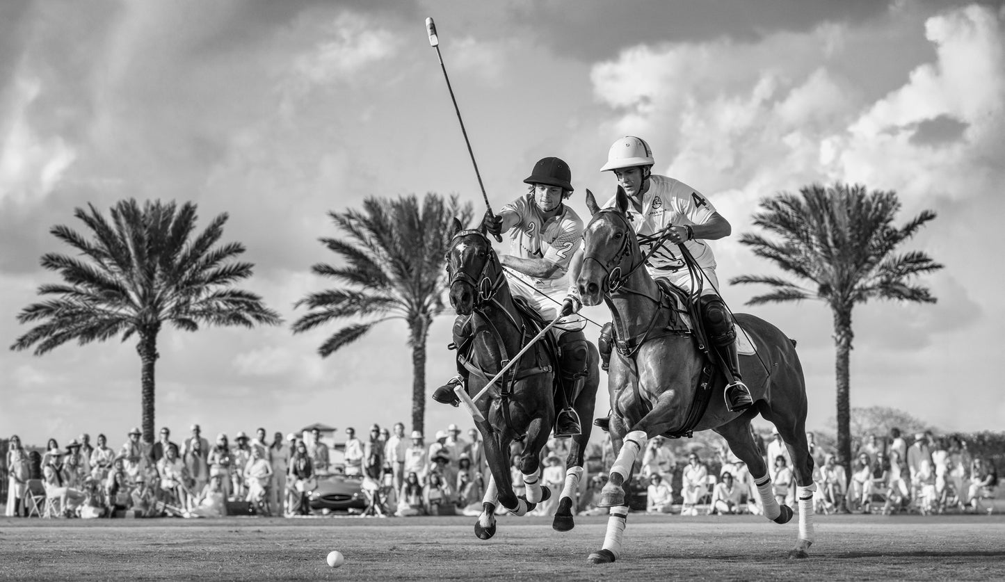 Wellington (BW)-Photographic Print-David Yarrow-Sorrel Sky Gallery