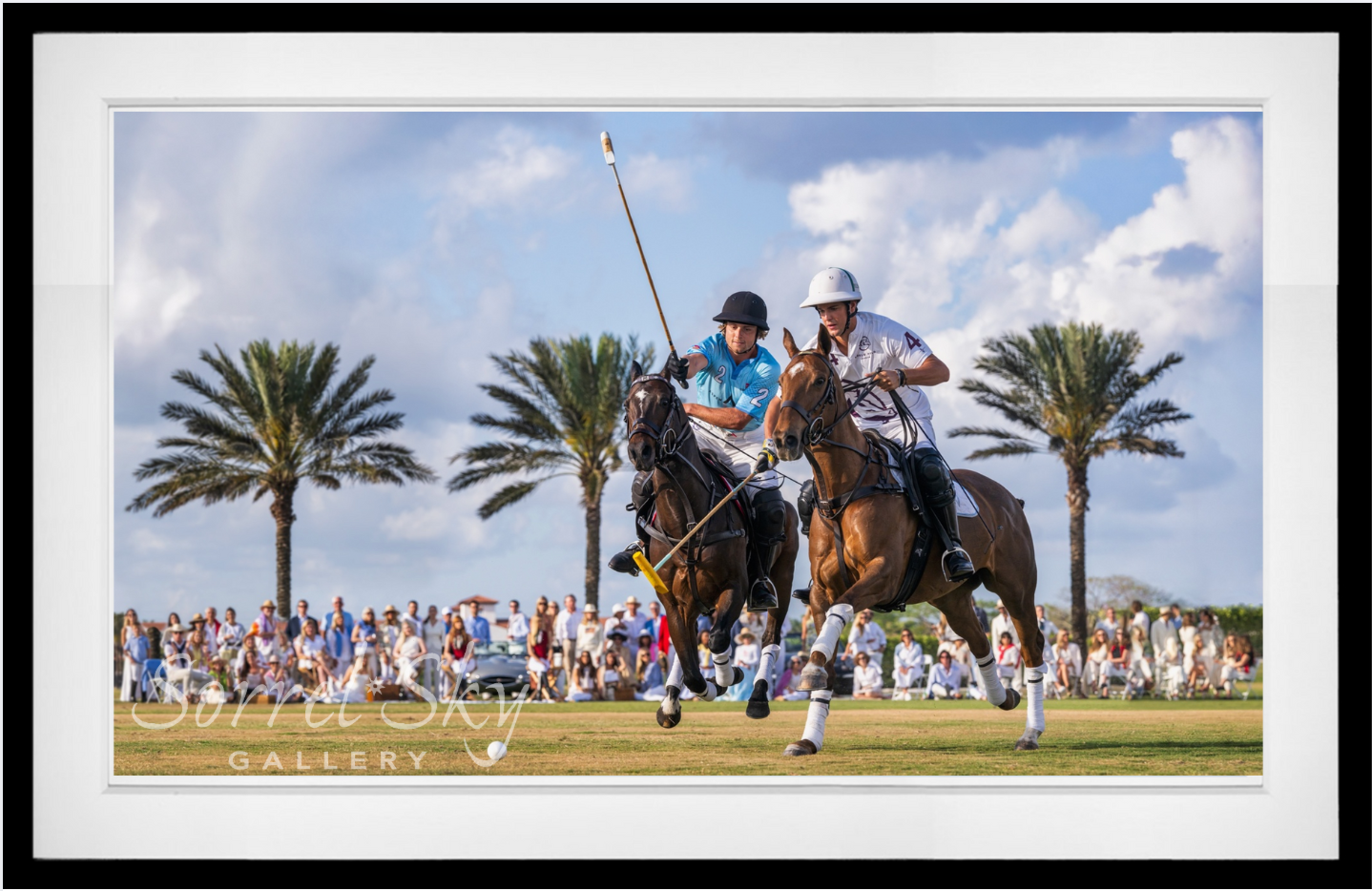 Wellington (Color)-Photographic Print-David Yarrow-Sorrel Sky Gallery